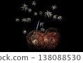 Vibrant fireworks (orange and white) at the Makuhari Beach Fireworks Festival 138088530