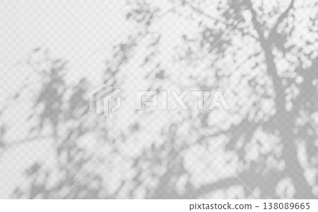 Natural light shadow overlay with tree foliage and crown on transparent background. Soft silhouette with leaves texture and blurred sunlight effect 138089665
