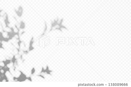 Shadow overlay of tree branch and leaves on transparent background. Blurred botanical silhouette creating soft natural light effect. 138089666