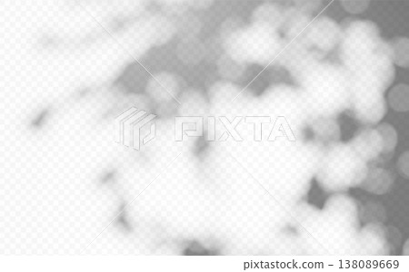 Abstract blurred shadow overlay foliage with bokeh effect and sunbeam on transparent background. Abstract blurred shadow overlay foliage with bokeh effect and sunbeam on transparent background. 138089669