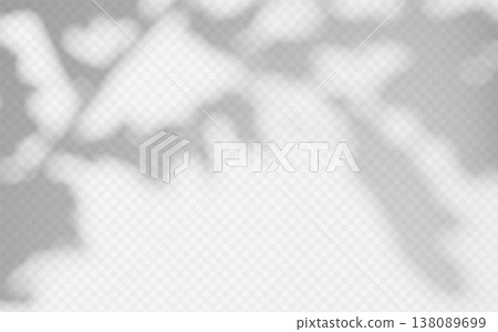 Soft shade from plant on a transparent background. Shadow overlay from tree branch Soft shade from plant on a transparent background. Shadow overlay from tree branch 138089699