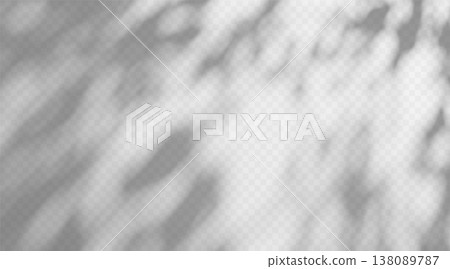 Dappled light filters through leaves, casting shadow on gray walls. Natural foliage overlay creates patterns with sunlight rays and tree shade effect. 138089787