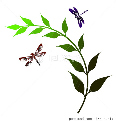Dragonflies Flying Around a Green Leafy Branch 138089815