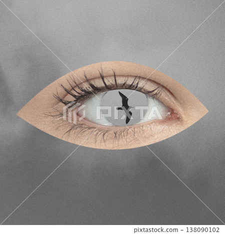 Eye with bird silhouette representing freedom and vision Eye with bird silhouette representing freedom and vision 138090102