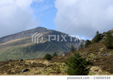 Mountain landscape with coniferous trees under cloudy sky Mountain landscape with coniferous trees under cloudy sky 138090589