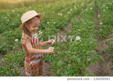 A child in a straw hat on a plantation of blooming green potatoes. Cultivation of agricultural products. World Agriculture Day A child in a straw hat on a plantation of blooming green potatoes. Cultivation of agricultural products. World Agriculture Day 138090991