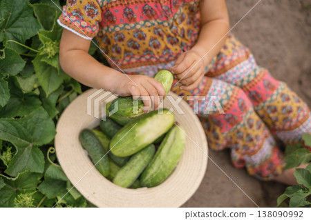 A bunch of fresh cucumbers in a hat in the hands of a child. Harvesting vegetables grown on the farm. Organic products without GMOs. Healthy healthy food. 138090992