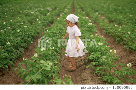 A barefoot girl in a white dress between rows of flowering trunks of green potatoes. Cultivation of vegetable gardens on farm plantations. World Agriculture Day A barefoot girl in a white dress between rows of flowering trunks of green potatoes. Cultivation of vegetable gardens on farm plantations. World Agriculture Day 138090993