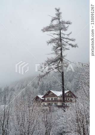 Snowy alpine house behind tree in winter landscape Snowy alpine house behind tree in winter landscape 138091267