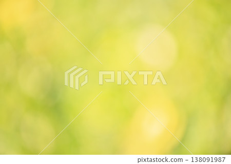 Blurred abstract natural background. Greenery defocused. Blurred abstract natural background. Greenery defocused. 138091987