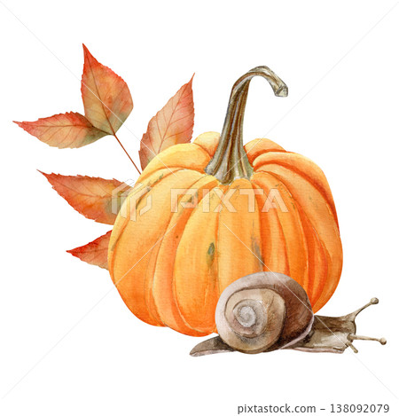 Hand-drawn watercolor orange pumpkin with autumn ash leaf and snail. Eco-friendly branding Hand-drawn watercolor orange pumpkin with autumn ash leaf and snail. Eco-friendly branding 138092079