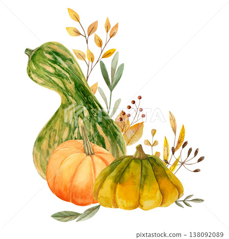 Hand-drawn watercolor two green-orange and orange pumpkins with autumn branches, berries and others leaves Hand-drawn watercolor two green-orange and orange pumpkins with autumn branches, berries and others leaves 138092089