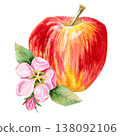 watercolor hand drawn composition with juicy red apple and pink flower and bud, green leaves on a branch  138092106