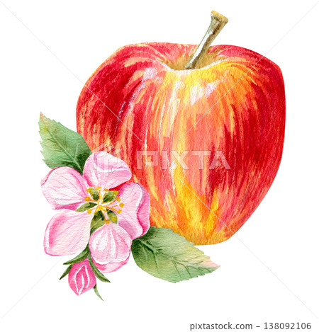 watercolor hand drawn composition with juicy red apple and pink flower and bud, green leaves on a branch watercolor hand drawn composition with juicy red apple and pink flower and bud, green leaves on a branch 138092106