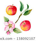 watercolor hand drawn set with two juicy red apples and pink flower and bud, green leaves on a branch  138092107