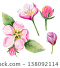 Watercolor hand drawn set with apple pink flowers and buds on a green branch with leaves. 138092114