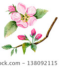 Watercolor hand drawn set with apple pink flowers and buds on a green branch with leaves. 138092115