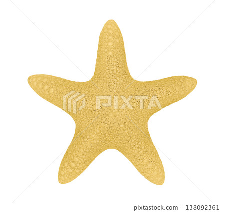 Starfish isolated on clean background detailed marine texture Starfish isolated on clean background detailed marine texture 138092361