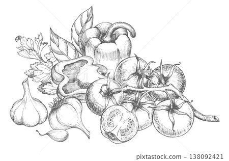 Composition of the bell peppers, tomatoes, parsley, garlic and leaves. Vector ink styled illustration. For packaging design, cards, cover, prints, product labels and fabric. Composition of the bell peppers, tomatoes, parsley, garlic and leaves. Vector ink styled illustration. For packaging design, cards, cover, prints, product labels and fabric. 138092421