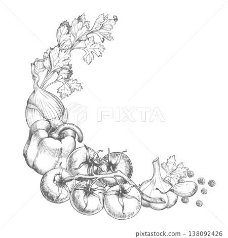 Wreath of the cauliflower, black pepper, garlic, bell pepper, onion and parsley. Vector ink styled handmade illustration. For packaging design, cards, cover, prints, product labels and fabric. Wreath of the cauliflower, black pepper, garlic, bell pepper, onion and parsley. Vector ink styled handmade illustration. For packaging design, cards, cover, prints, product labels and fabric. 138092426