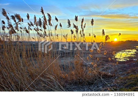 Evening Landscape With Reeds and Sunset Over Wetland Area Near Waterway 138094891