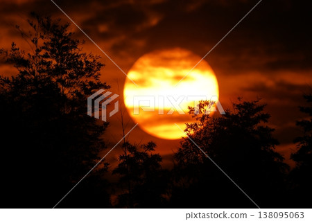 A magnificent sunset with silhouettes of trees, captured with a 1200mm super-telephoto lens. A fantastical sunset. A magnificent sunset with silhouettes of trees, captured with a 1200mm super-telephoto lens. A fantastical sunset. 138095063