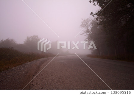 foggy day and trees foggy day and trees 138095516