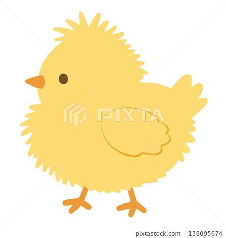 Yellow baby chick standing on white background Yellow baby chick standing on white background 138095674