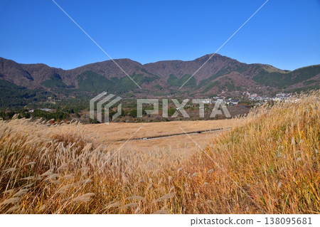 箱根-仙石原的蒲葦草地和濕地 箱根-仙石原的蒲葦草地和濕地 138095681