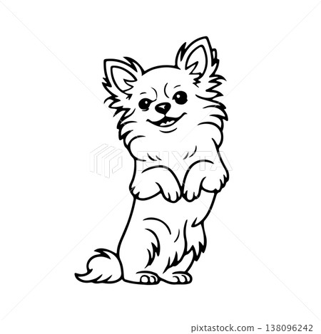 Cute standing Chihuahua with fluffy fur and happy expression in a minimalist style Cute standing Chihuahua with fluffy fur and happy expression in a minimalist style 138096242