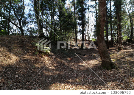 栃木縣下野市小山城遺址 栃木縣下野市小山城遺址 138096793