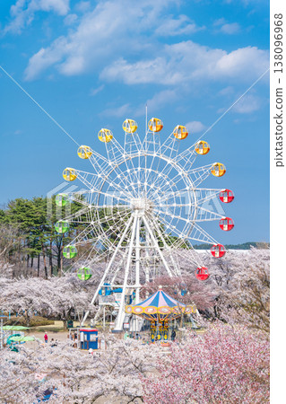 青森縣八戶市八戶公園/兒童樂園的櫻花盛開，摩天輪點綴其間 138096968