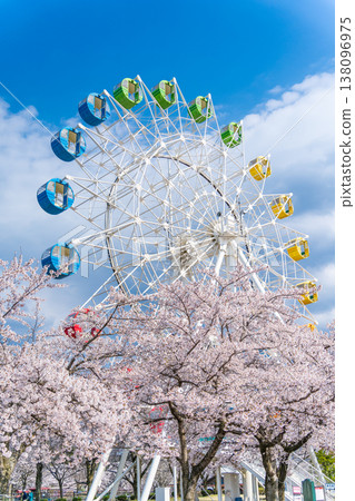 青森縣八戶市八戶公園/兒童樂園的櫻花盛開,摩天輪點綴其間 青森縣八戶市八戶公園/兒童樂園的櫻花盛開,摩天輪點綴其間 138096975