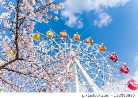 青森縣八戶市八戶公園/兒童樂園的櫻花盛開,摩天輪點綴其間 青森縣八戶市八戶公園/兒童樂園的櫻花盛開,摩天輪點綴其間 138096980