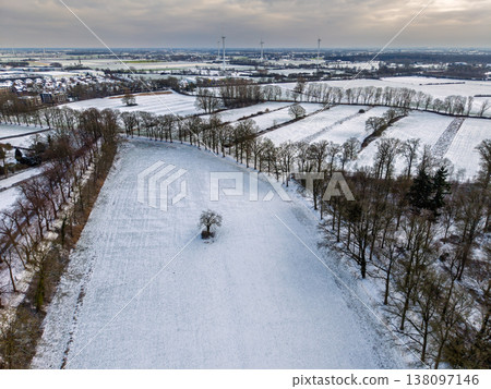 Aerial view of a lonely tree in a snow covered field. A serene winter landscape featuring rows of bare trees, distant wind turbines, and a rural European village under a moody, overcast sky. Aerial view of a lonely tree in a snow covered field. A serene winter landscape featuring rows of bare trees, distant wind turbines, and a rural European village under a moody, overcast sky. 138097146