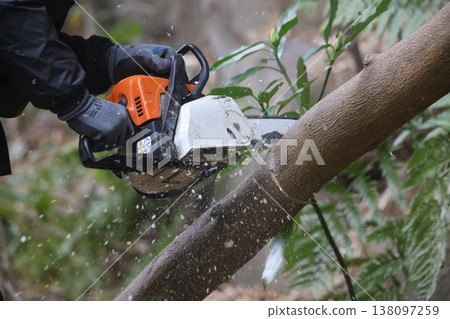 A man cutting down trees with a chainsaw. A man cutting down trees with a chainsaw. 138097259