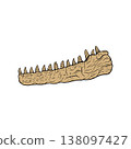 Fossil of a carnivorous dinosaur's jaw 138097427