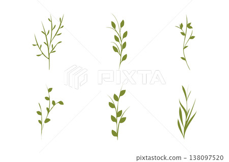 A collection of six stylized green plant stems, some with leaves and some as bare branches, displayed on a clean white background. These graphic elements are ideal for nature themed designs. A collection of six stylized green plant stems, some with leaves and some as bare branches, displayed on a clean white background. These graphic elements are ideal for nature themed designs. 138097520