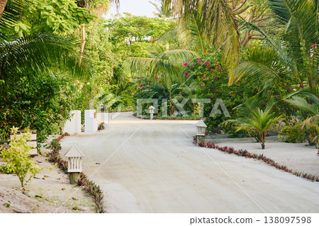 the territory of a luxury resort in the Maldives surrounded by greenery at sunset, neat paths 138097598