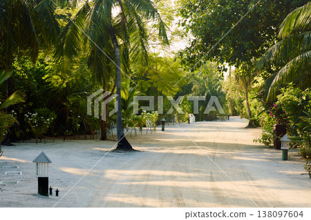 the territory of a luxury resort in the Maldives surrounded by greenery at sunset, neat paths the territory of a luxury resort in the Maldives surrounded by greenery at sunset, neat paths 138097604
