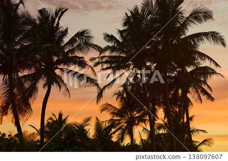 Magical sunset with orange sky and palm trees at dusk on Maldives islands, reflection on the water in beach, no people  138097607