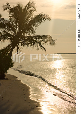 Magical sunset with orange sky and palm trees at dusk on Maldives islands, reflection on the water in beach, no people  138097624