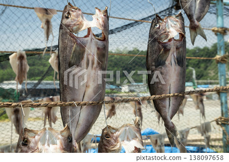 Kitaya的隔夜魚乾 Kitaya的隔夜魚乾 138097658