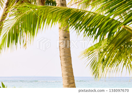 Classic Maldives island landscape on a sunset, azure water, white sand, palm trees on the shore Classic Maldives island landscape on a sunset, azure water, white sand, palm trees on the shore 138097670