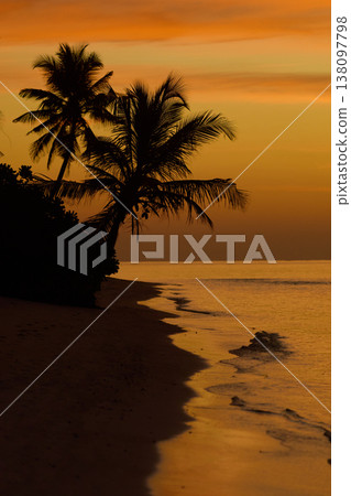 Magical sunset with orange sky and palm trees at dusk on Maldives islands, reflection on the water in beach, no people Magical sunset with orange sky and palm trees at dusk on Maldives islands, reflection on the water in beach, no people 138097798