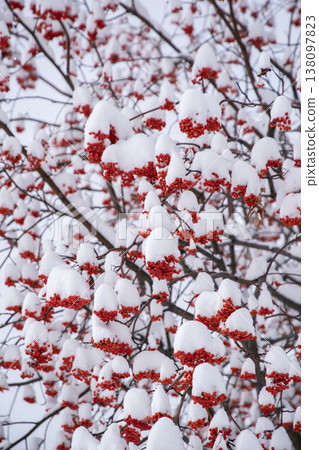 Nanakamado of the first snow Nanakamado of the first snow 138097823