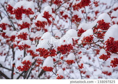 Nanakamado of the first snow Nanakamado of the first snow 138097825