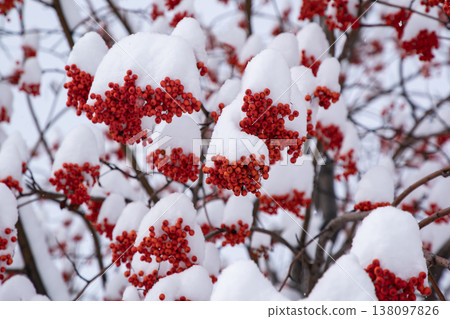 Nanakamado of the first snow Nanakamado of the first snow 138097826