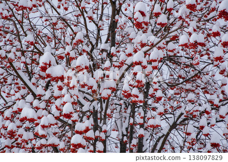 Nanakamado of the first snow Nanakamado of the first snow 138097829