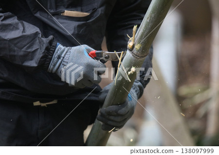 A man picking bamboo branches A man picking bamboo branches 138097999